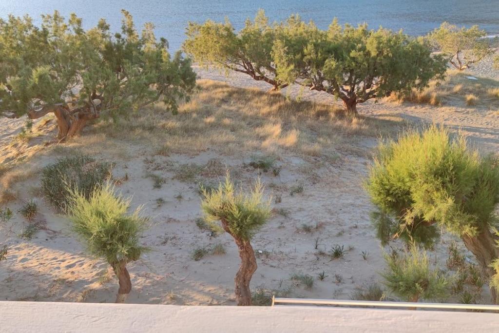 Villa Aegean Dream House à Kamares  Extérieur photo